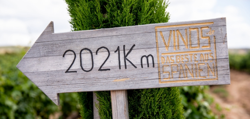 Holzschild mit Pfeil, 2021 km, Vinos de Spanien, in Weinbergen.