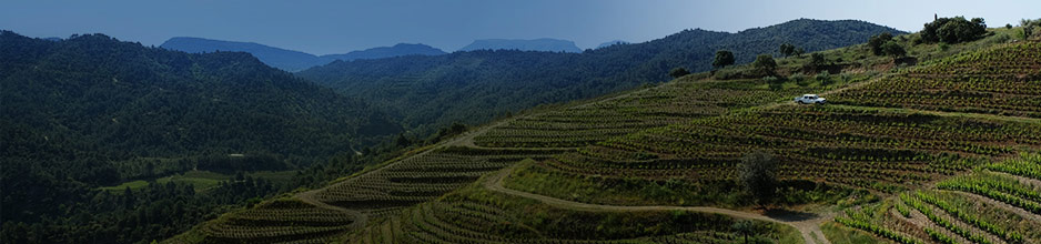 Alle Weine aus Priorat DOCa