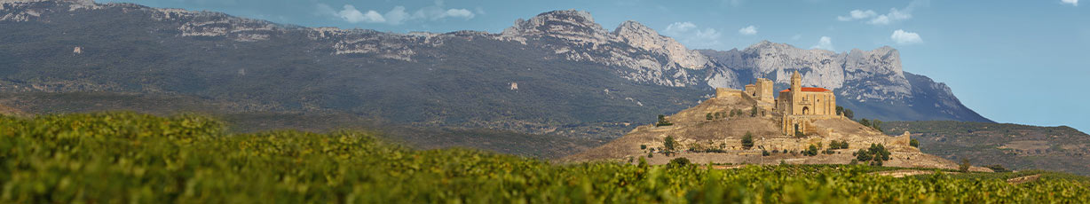 Unsere Weinpakete zum Probieren