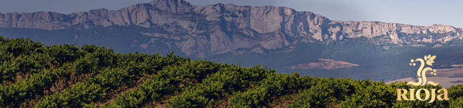 Alle Rioja-Weine